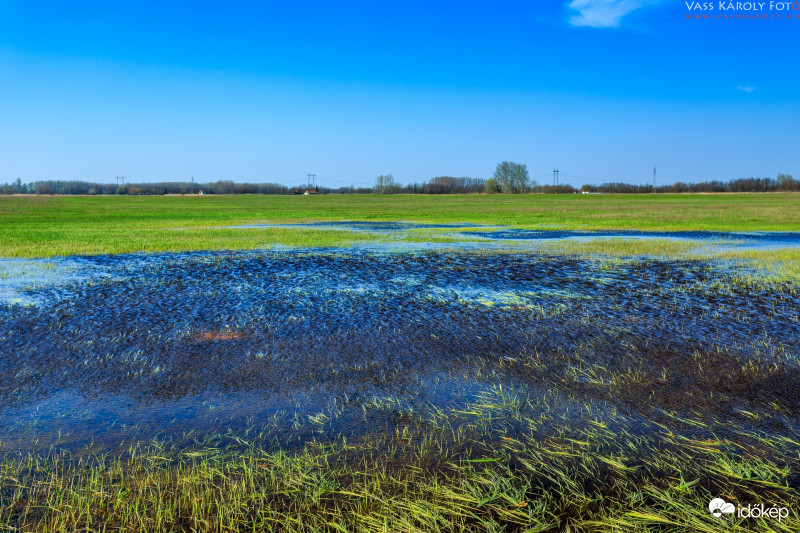 Tavasz a mezőkön