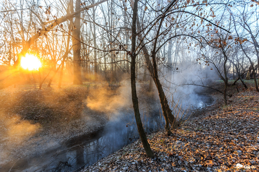 A Tisza árterében