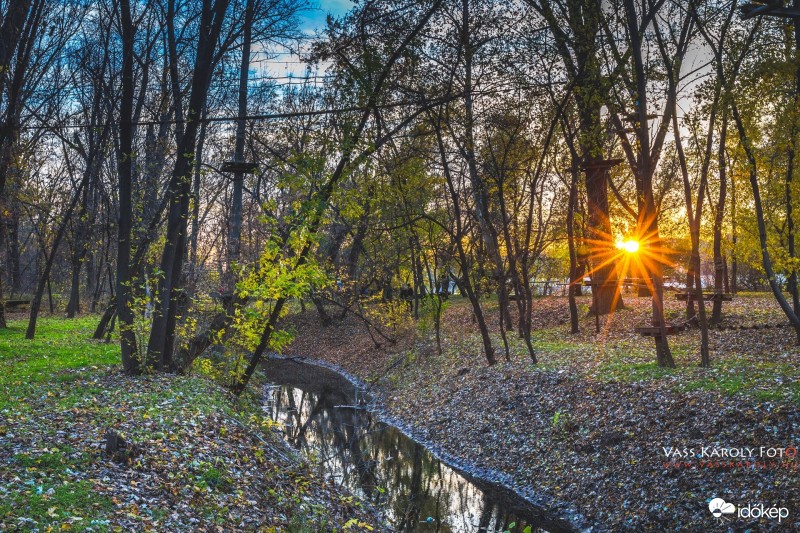 Novemberi naplemente.