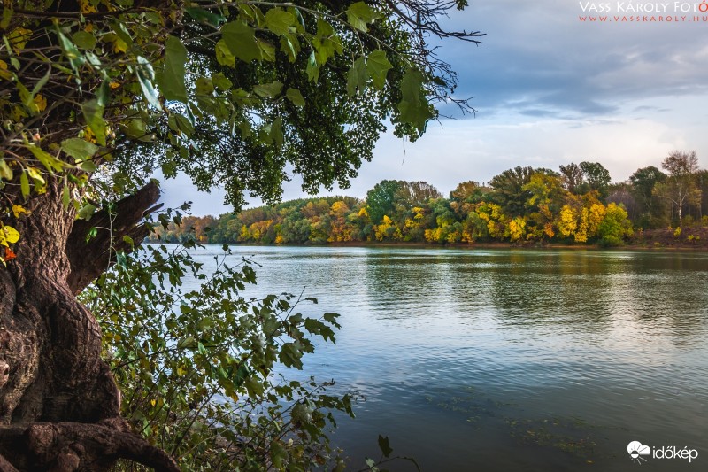Ősz a Tiszán II.