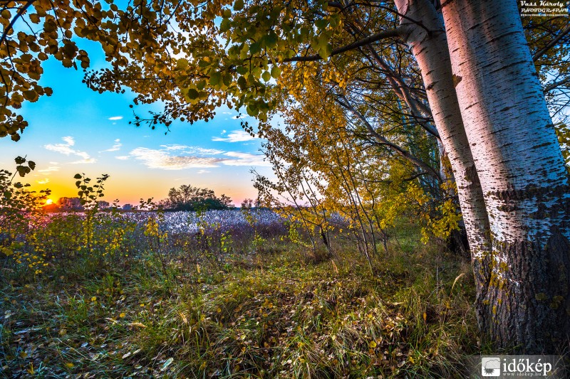 Ősz a nyárfák árnyékban