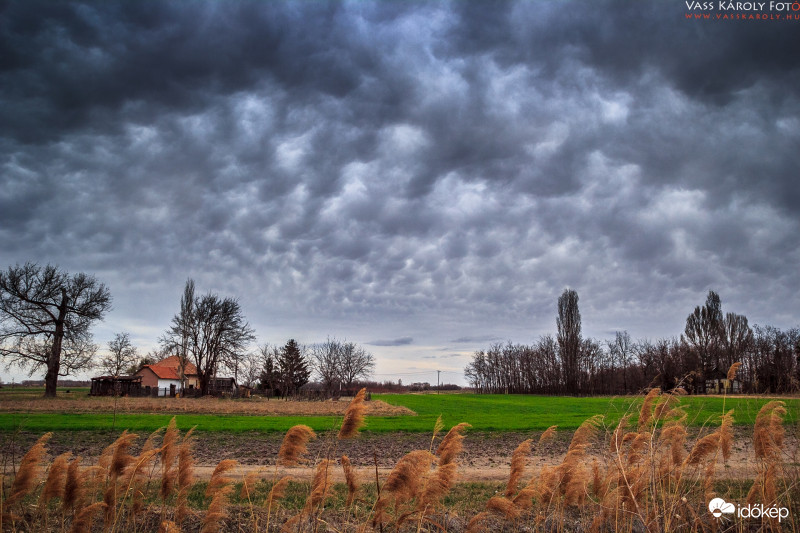 Mammák az Alföldön