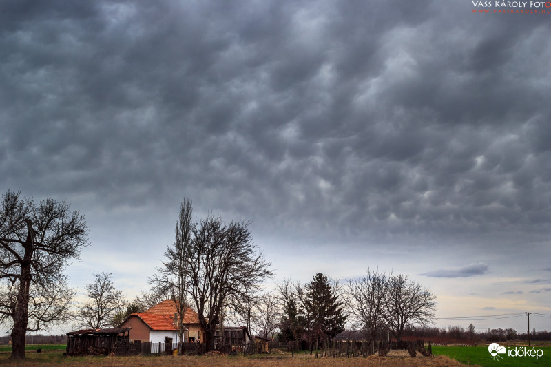 Mammák az Alföldön