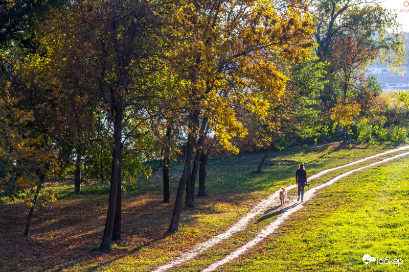 Őszi séta