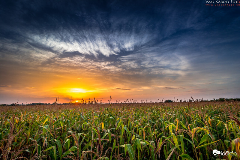 Kánikulai naplemente
