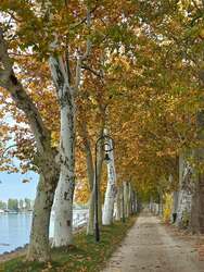 Séta a Kvassay sétányon