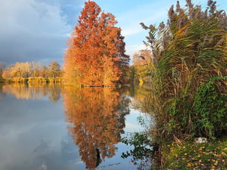 Gyülekenek a felhők a sárvári csónakázó tónál