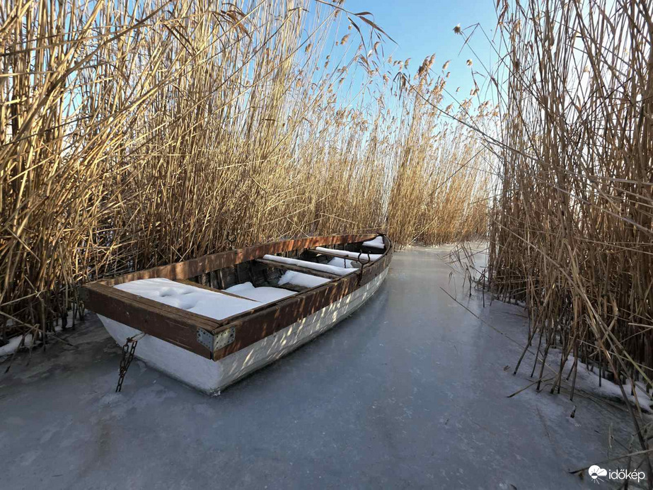 Bújócska a nádasban 2