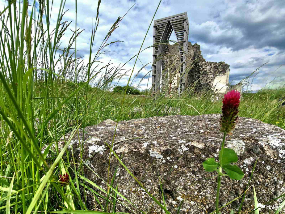 Bíborhere a Szent András templomromál