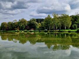 Teljes erőből ősz