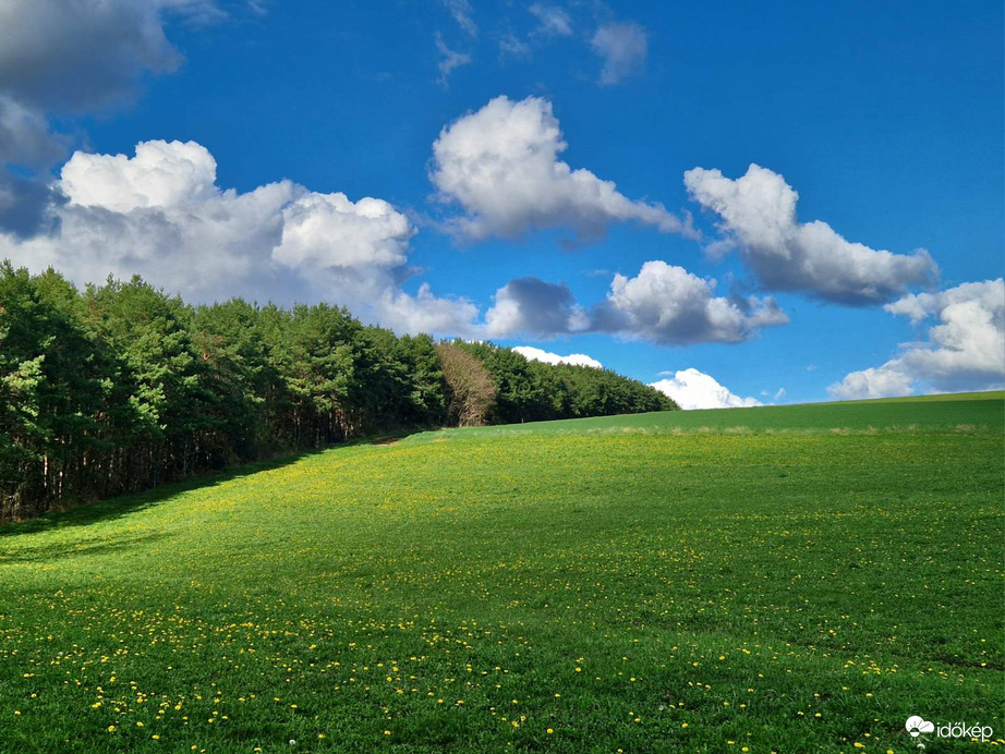 A tavasz ébredése