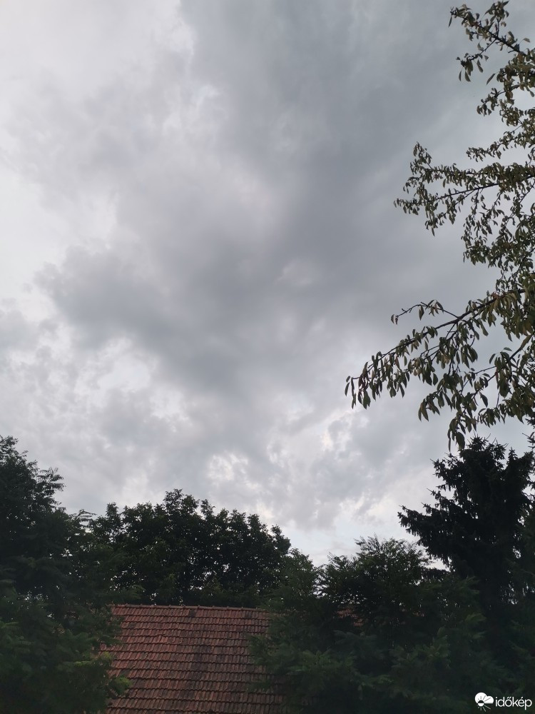 Körösladány