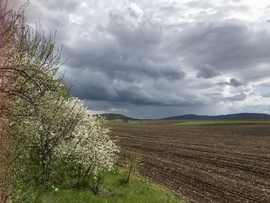 Közeledik