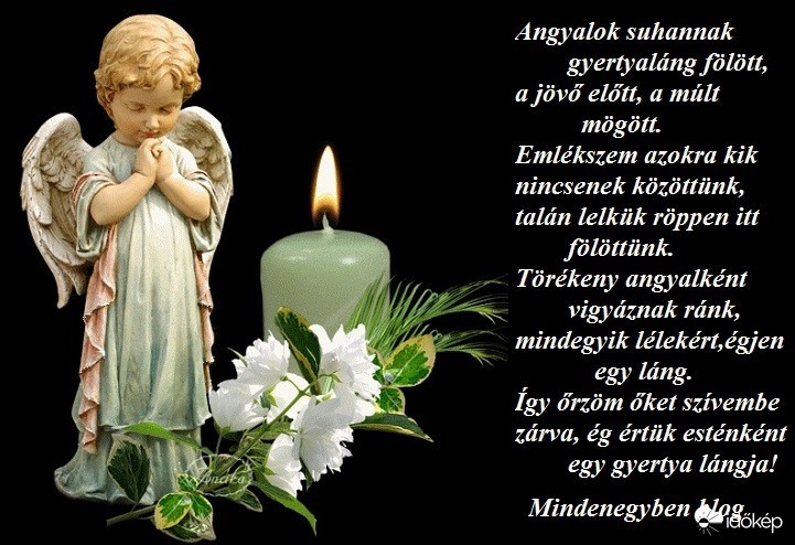 Szeretném Veletek megosztani-testvérem küldte