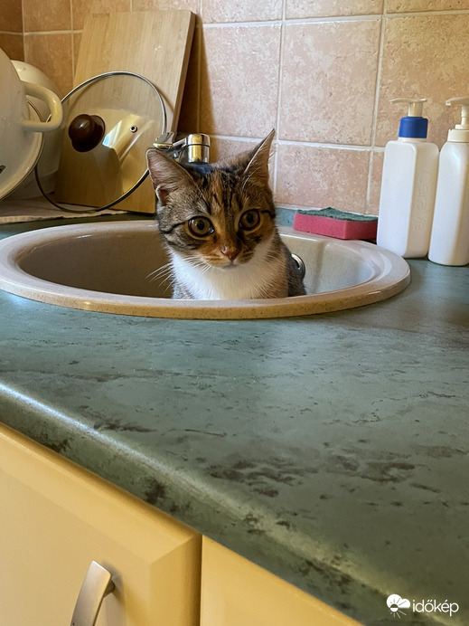 Majd én elmosogatok! (Lányom fotója)