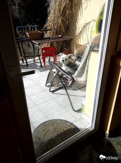 Szívmelengető nyári emlékem...