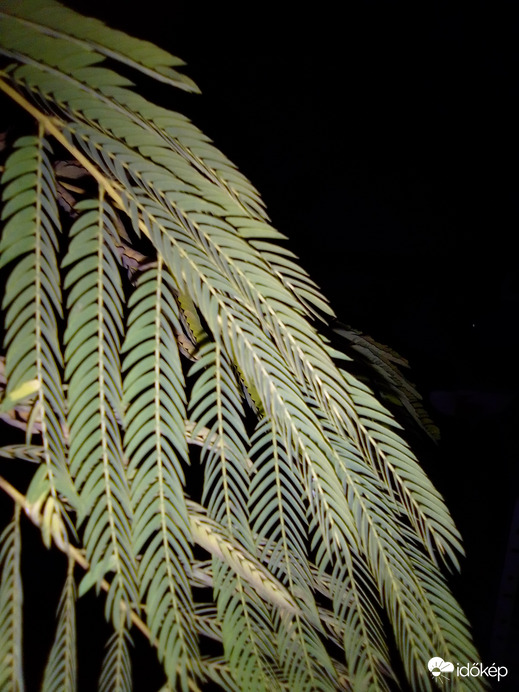 Variációk egy témára 1