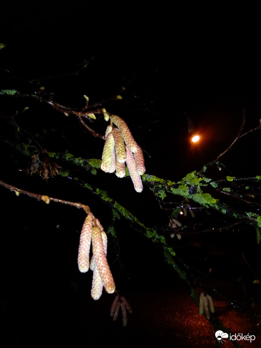 Hamar sötétedik...