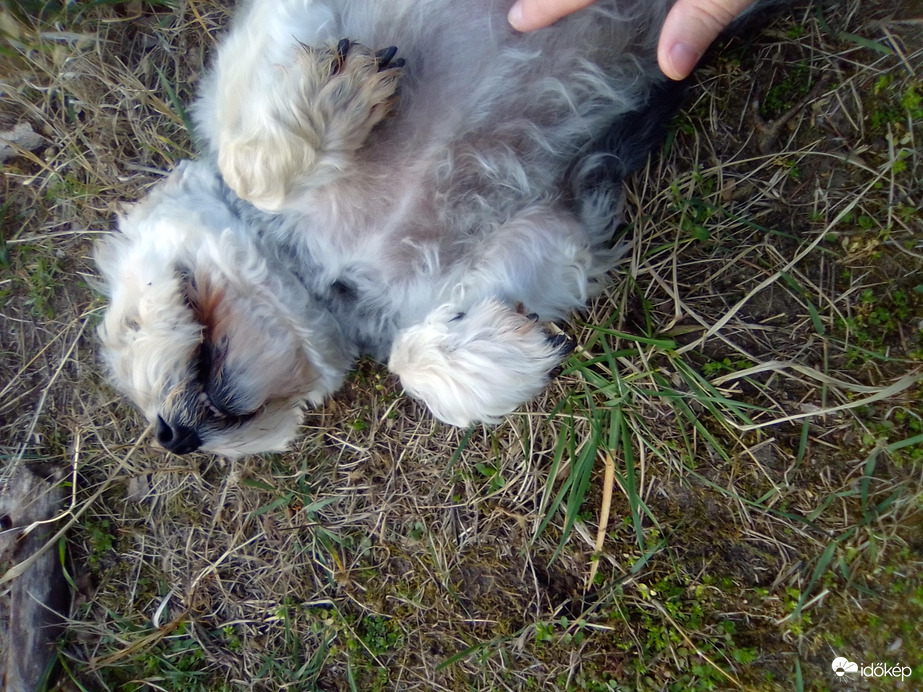 Imádom a jó időt!!