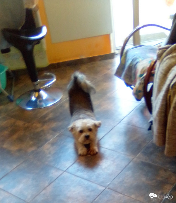 De jót aludtam a kertben!