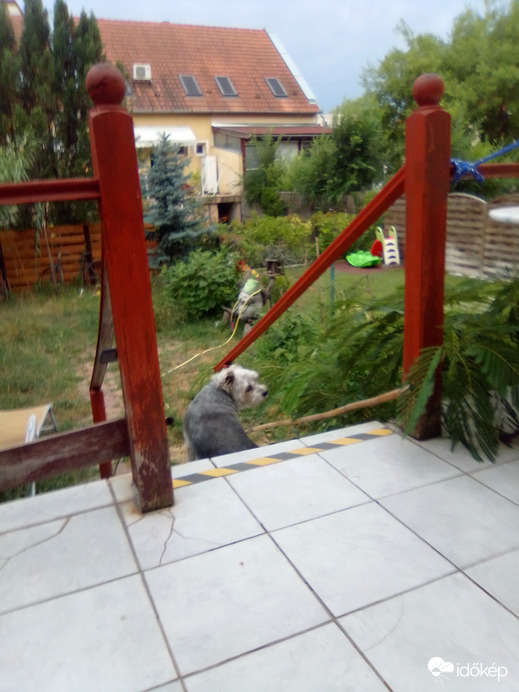 Te várod az esőt???