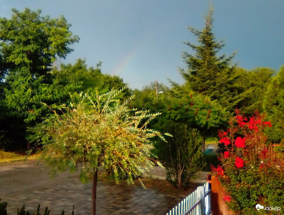 Eső után egy hangyányi szivárvány