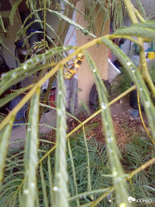 Még jó,hogy meg tudtam kapaszkodni!