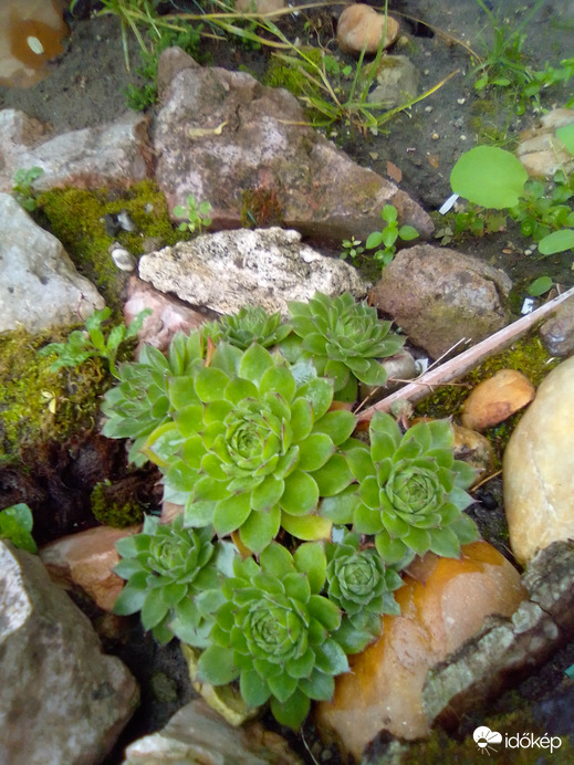 Mi is örültünk az esőnek!