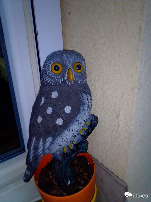 Régen láttam ekkora esőt!