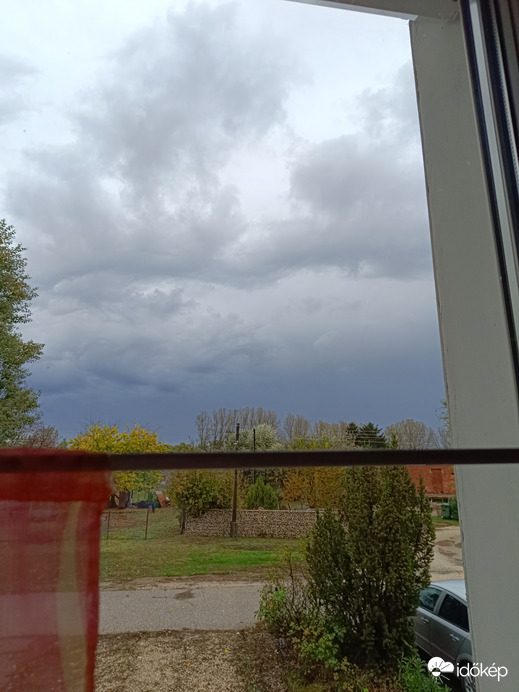 Mekkora madarak szállnak az égen!