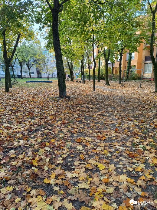 Ősz a téren