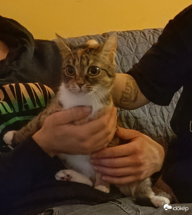Ne félj kiscica,majd elmúlik a hideg...