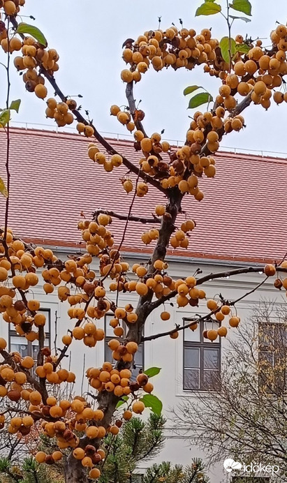 Esős időben