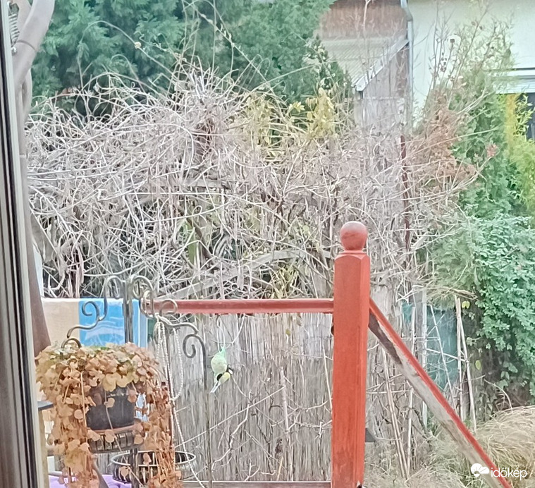 Végre!!! Fölfedezték az éjjelnappalos vendéglőt! 