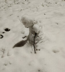 Azt hiszem,én feladom....