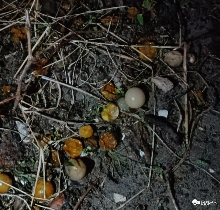 Ezek begolyóztak....