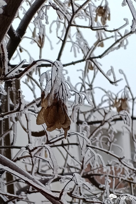 Még mindig hideg van....