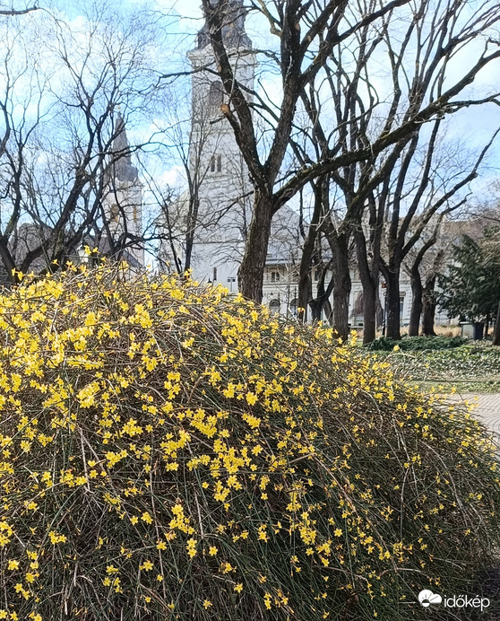 Tavaszodik Kecskemét főterén is...