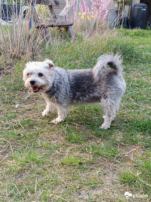 Szép az élet,ugye?