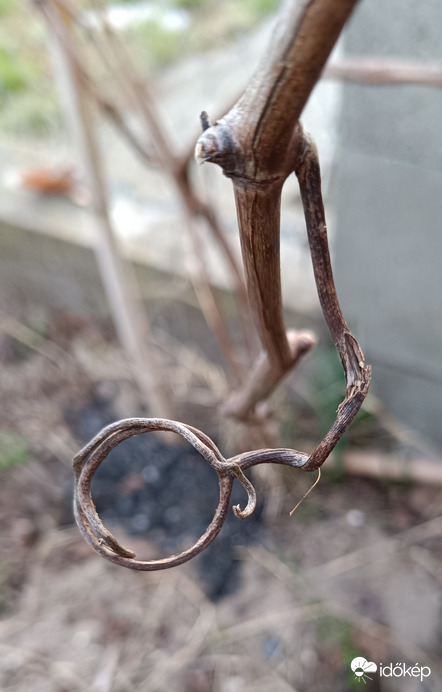 Majd megnézem nagyítóval....