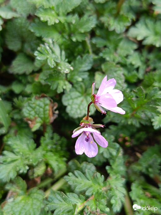 Apraja-falva is kapott vizet rendesen...
