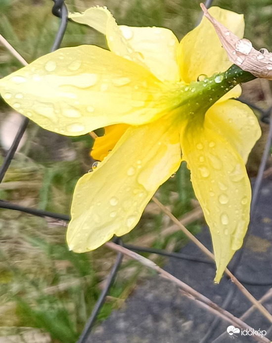 Hahó! A szomszéd kertben is esik?