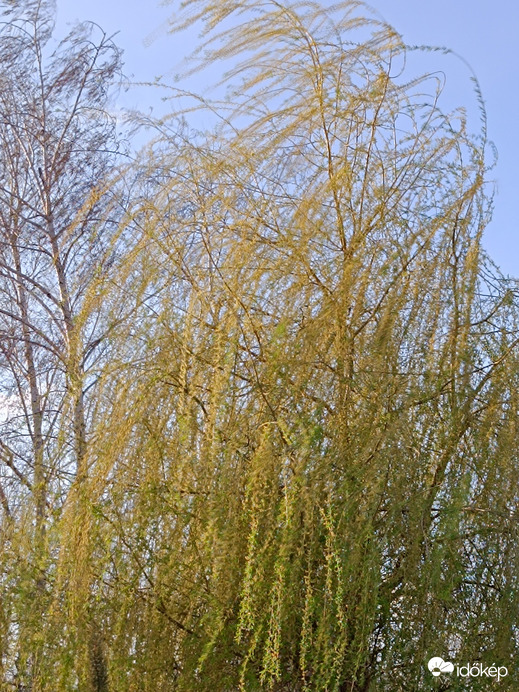 Szeles-napos 1.
