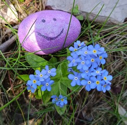 Nagyon boldog Húsvétot kívánok Mindenkinek!