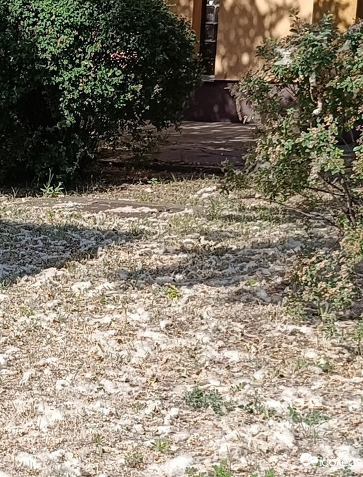 2. Alatta a vattaszőnyeg....