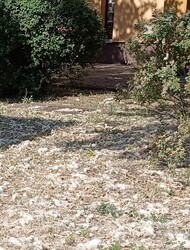 2. Alatta a vattaszőnyeg....