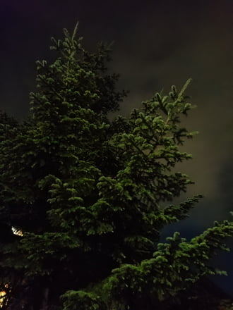 Munkából hazafelé-mostmár sötétben...