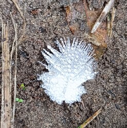 Reggeli vizes tollacska