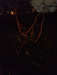 Vasvilla (kicsit elgörbülve...)