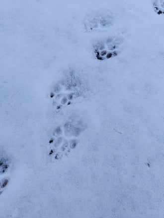 Leesett az első hó Kecskeméten!!